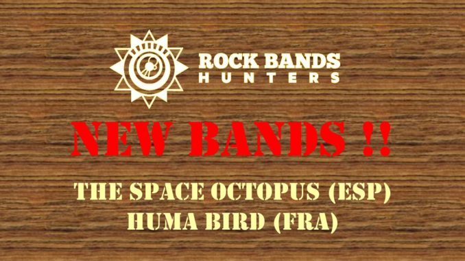 octopus huma-160620